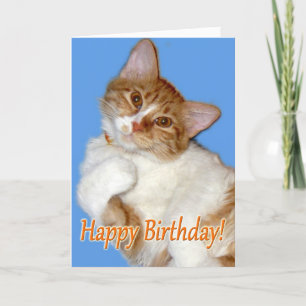 Carte Chat mignon en pose - Anniversaire Général