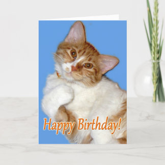 Carte Chat mignon en pose - Anniversaire Général