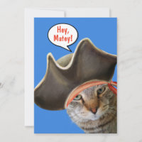 Chat Mignonne Parler Comme Un Jour De Pirate