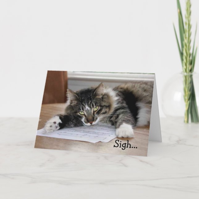 Carte Chat Musical Anniversaire Chanson Anniversaire Car (Devant)