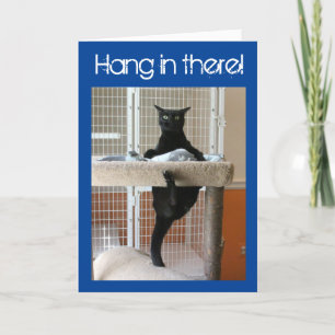 Carte Chat noir cramponné à un arbre à chat