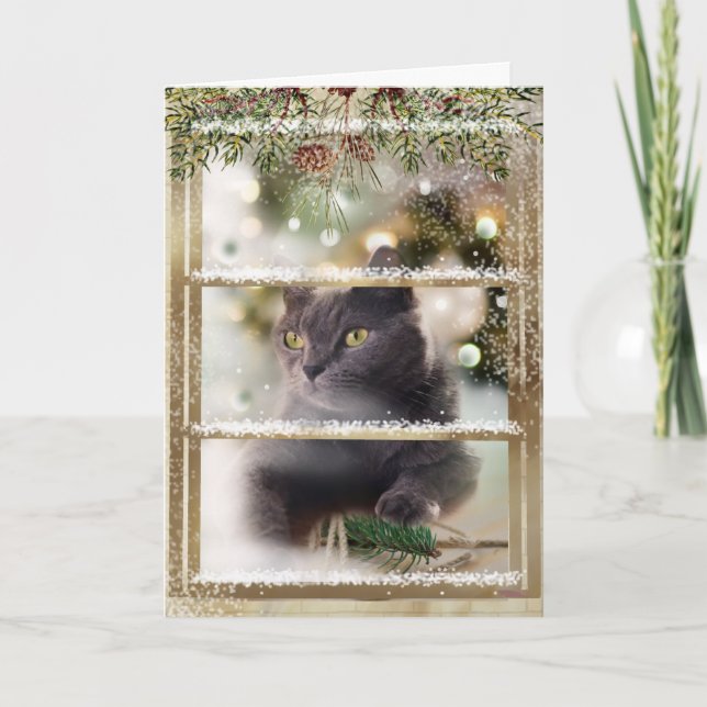 Carte Chat noir dans une fenêtre de Noël (Devant)