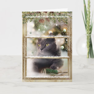 Carte Chat noir dans une fenêtre de Noël