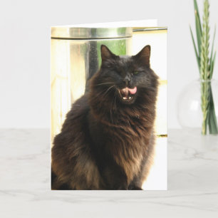 Carte Chat noir de Halloween avec un oeil