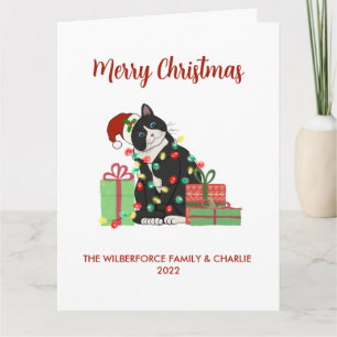 Carte Chat noir drôle et lumières Noël