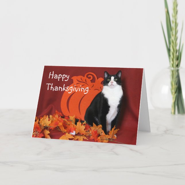 Carte Chat noir et blanc dit Joyeux Thanksgiving (Devant)