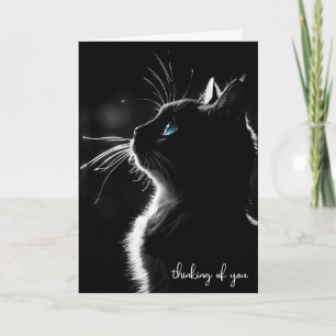 Carte Chat Noir Glissant Penser De Vous