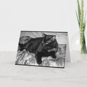 Carte Chat noir sérieux