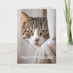 Carte Chat Pékin autour du rideau Humour d'anniversaire