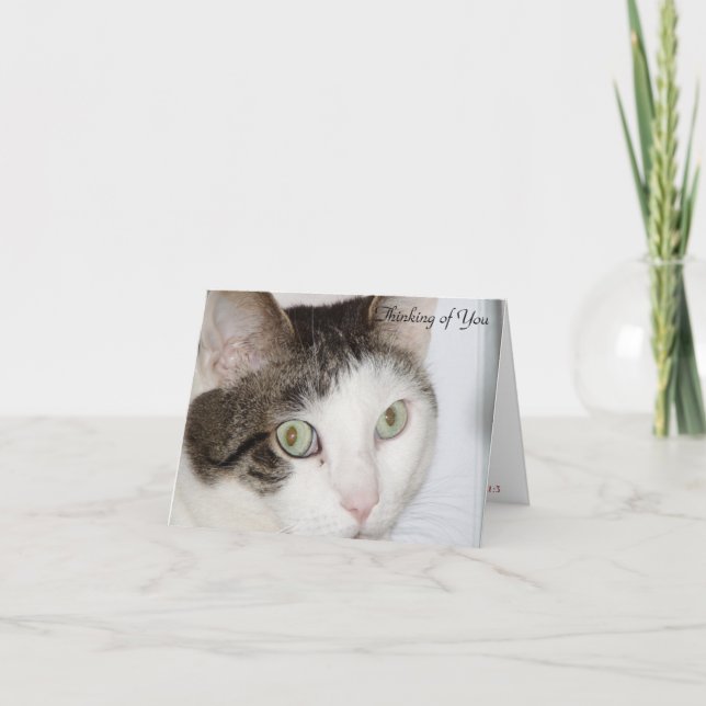 Carte Chat - Penser à vous (Devant)