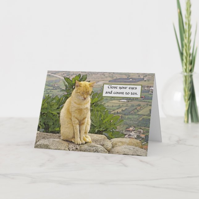 CARTE CHAT PERCHÉ SUR ROCHE, YEUX FERMÉS, HUMOUR, AMI (Devant)