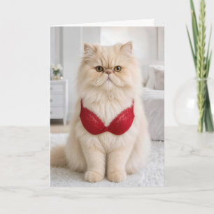 Carte Chat Persan d'anniversaire portant un soutien-gorg