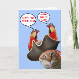 Carte Chat Pirate Et Perroquets Rude Amusants Anniversai