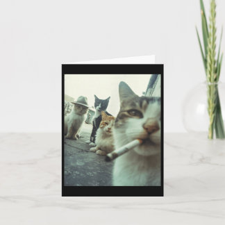 Carte Chat qui fume Drôle de chats gangsters Mème drôle 
