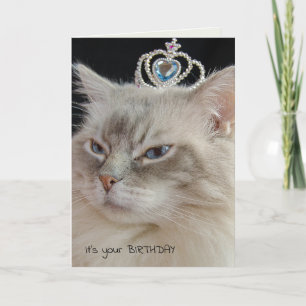 Carte Chat Ragdoll avec couronne