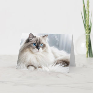 Carte Chat Ragdoll d'anniversaire sur un tapis de fourru
