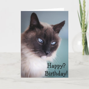 Carte Chat sceptique ou grincheux : Heureux ? Anniversai