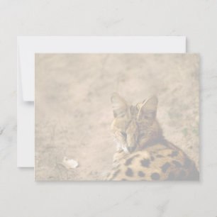 Carte Chat serval