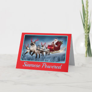 Carte Chat siamois drôle Noël vacances