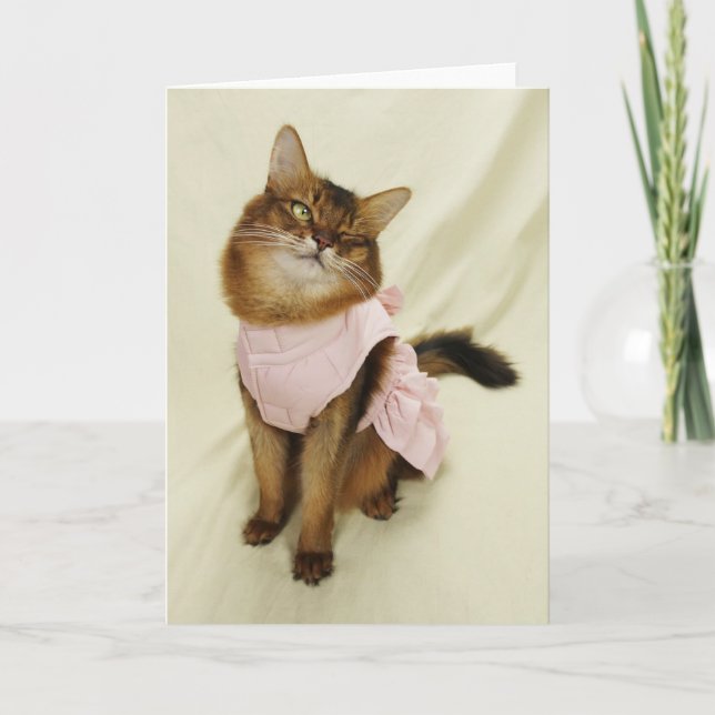 Carte Chat somalien Flirty (Devant)