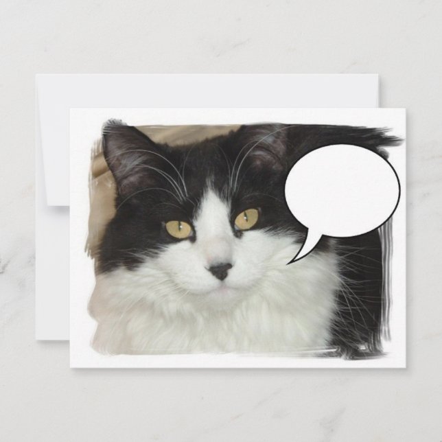 Carte Chat sous-titré (Devant)