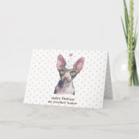 Chat Sphynx avec Chapeau de Fête