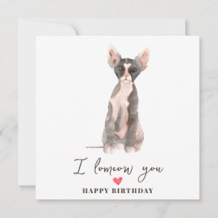 Carte Chat Sphynx Gris Rose Maman Chiot Animaux Fête
