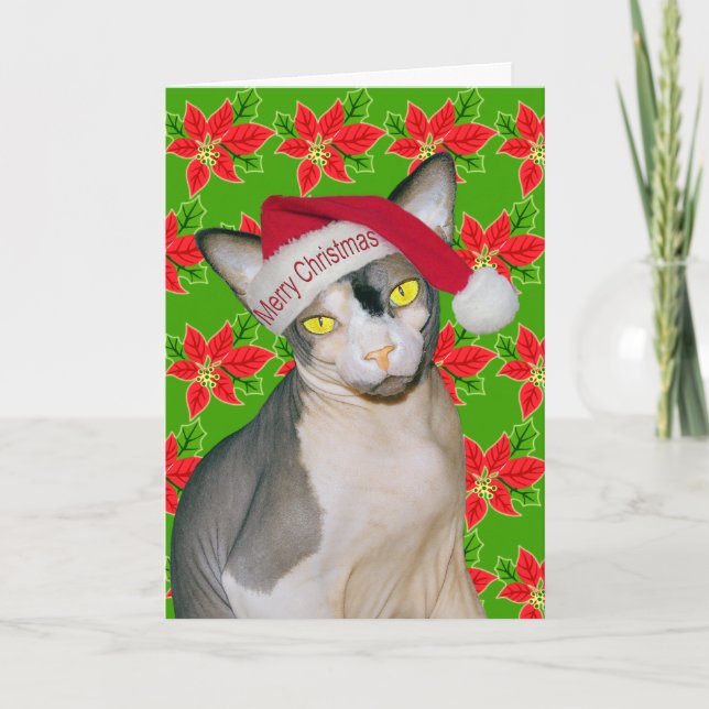 Carte Chat Sphynx Ninja Père Noël Noël Holi Vert (Devant)