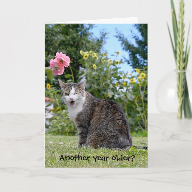 Carte chat tabby anniversaire (Devant)
