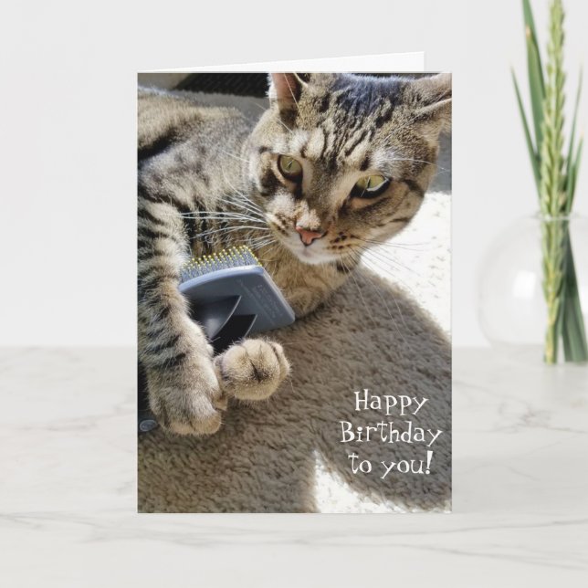 Carte chat tabby d'anniversaire avec brosse (Devant)