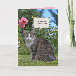Carte chat tabby dans le jardin anniversaire