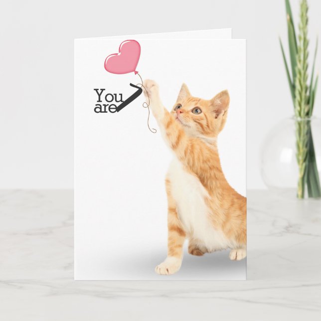 Carte chat tabby de 7ème anniversaire (Devant)