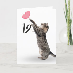 Carte chat tabby ludique pour 19e anniversaire