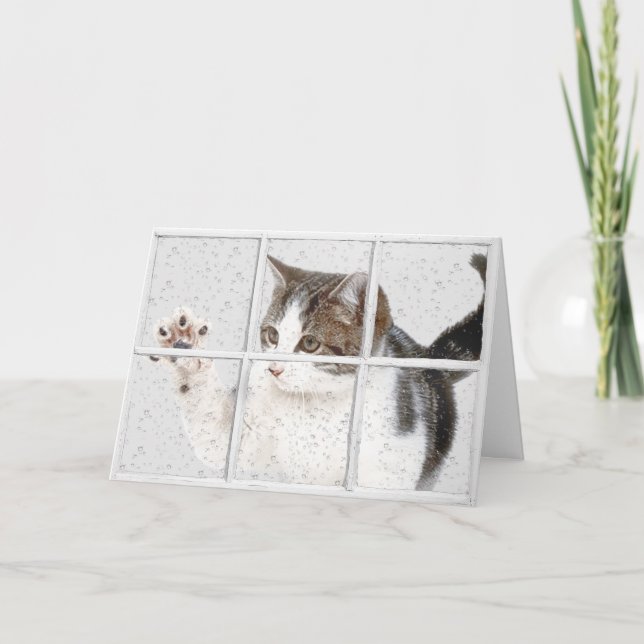 Carte chat tigré dans la fenêtre pour son anniversaire (Devant)