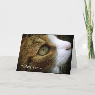 Carte Chat tigré - en pensant à vous cardez