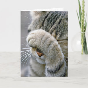 Carte Chat tigré gris d'anniversaire vieillissant humour