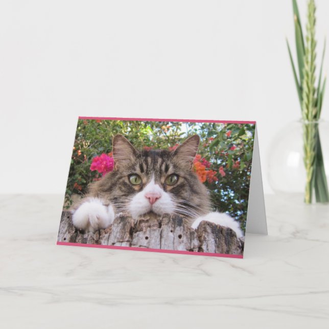 Carte Chat tigré sur le tronçon d'arbre avec la (Devant)