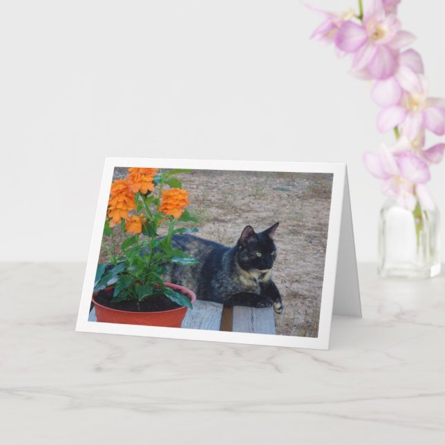 Carte Chat Tortoiseshell avec Fleurs de Pancre (Orchidée)