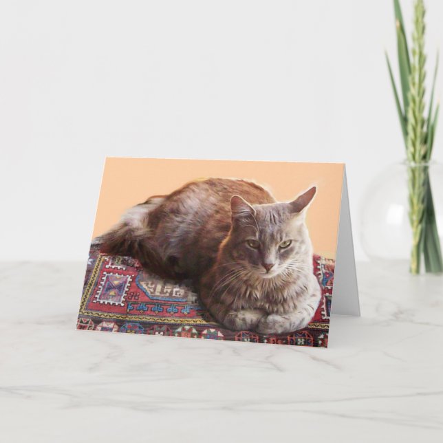 CARTE CHAT TURQUE ASSIS SUR LA VIEILLE MOQUETTE (Devant)