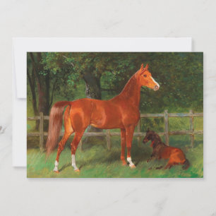 Carte Châtaigne avec du poulain dans le pré   Hans Haag