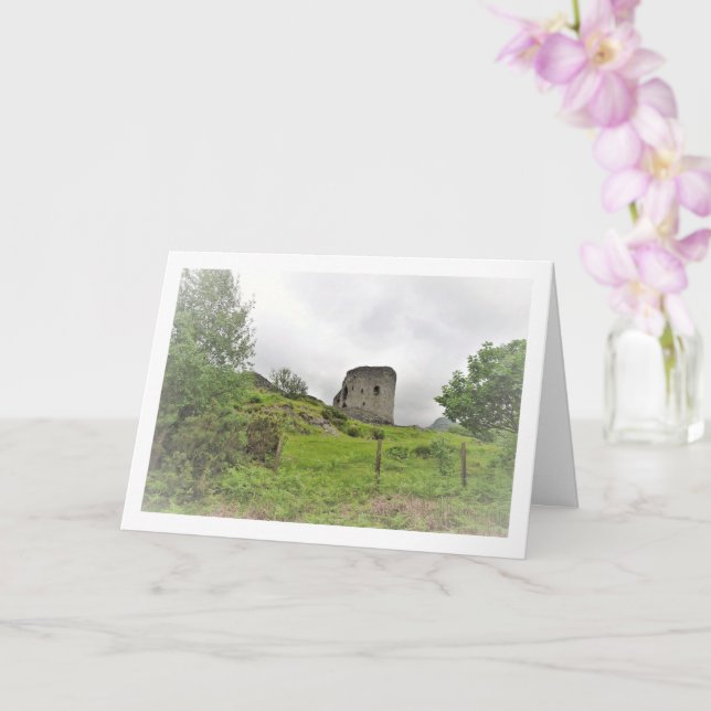 Carte Château de Dolbadarn, nord du Pays de Galles (Orchidée)
