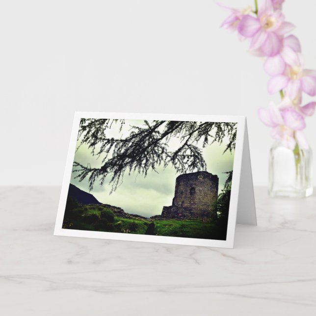 Carte Château médiéval de Dolbadarn, Galles du Nord (Orchidée)