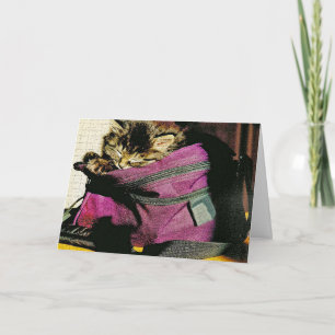 Carte Chaton À Dormir Dans Le Porte Mlle Vous Personnali