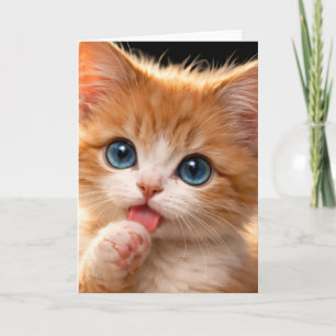 Carte Chaton aux yeux bleus se léchant la patte