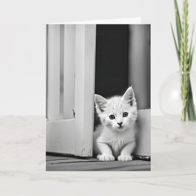 Carte Chaton Blanc Anniversaire à la porte (Devant)