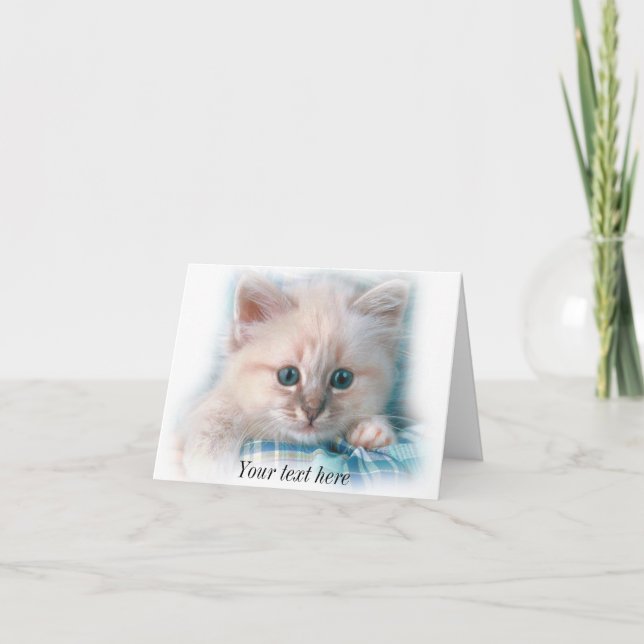 Carte chaton blanc mignon avec les yeux bleus (Devant)