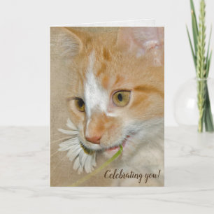 Carte chaton d'anniversaire avec marguerite
