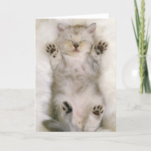 Carte Chaton dormant sur un tapis pelucheux blanc, haut