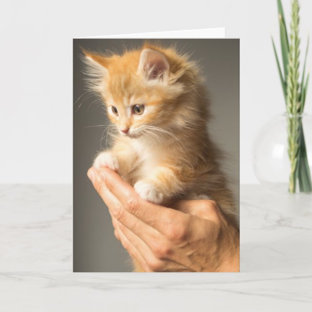 Carte Chaton mignon sur des mains (Devant)