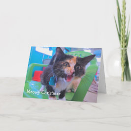 Carte Chaton pleurant